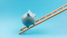 A piggy bank sits on a ladder climbing upward.