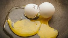 picture of broken egg with "IRA" written on it