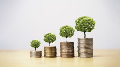 small trees growing on piles of coins