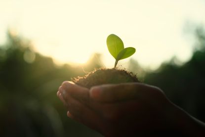 ESG Fund: Putnam Sustainable Future ETF